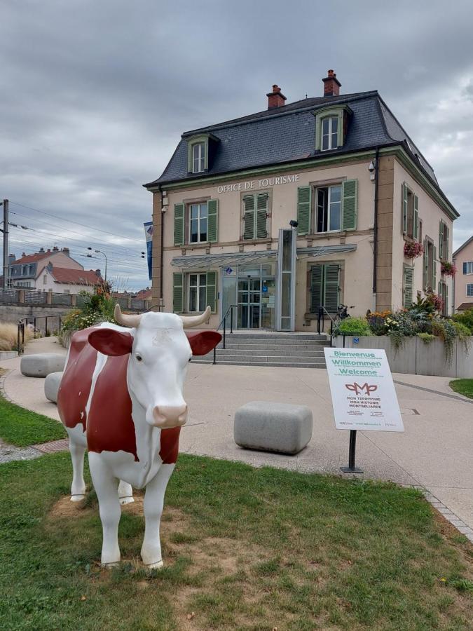 Appart' Duchatelain Lumineux, Vue Sur Chateau Montbeliard Ngoại thất bức ảnh
