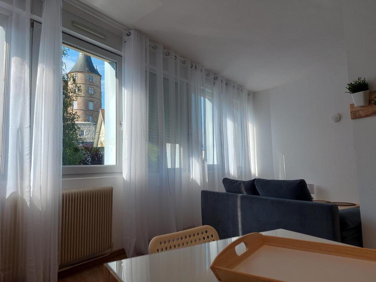 Appart' Duchatelain Lumineux, Vue Sur Chateau Montbeliard Ngoại thất bức ảnh
